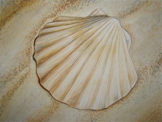 Shell