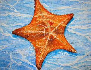 Starfish