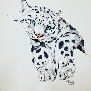 Snow Leopard